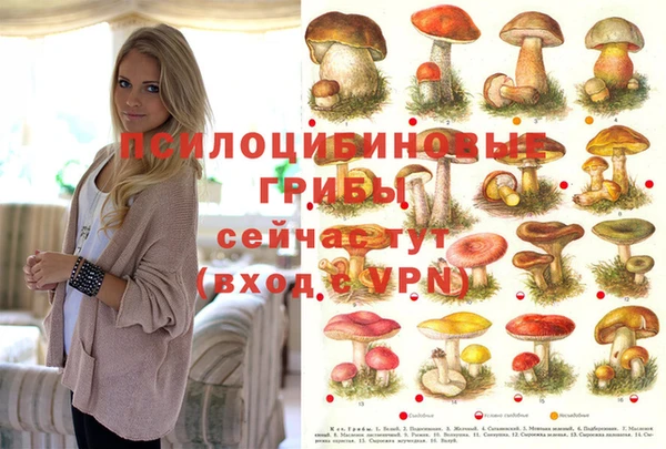 ALPHA PVP Волоколамск