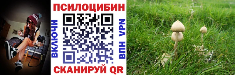 Псилоцибиновые грибы GOLDEN TEACHER  Купить где  Партизанск 